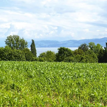 Near Constance And Alps, Cleaning Included اممنستاد ام بودينسي
